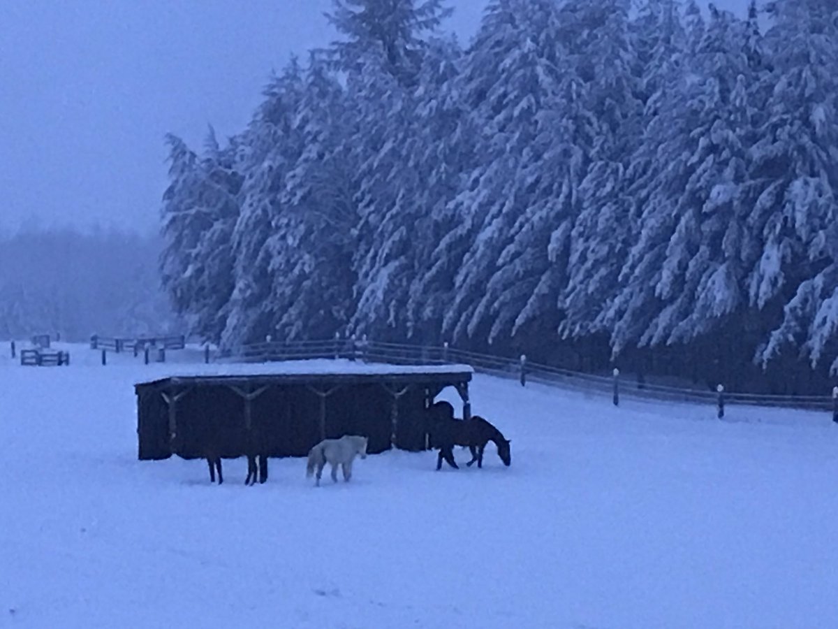 @CBCOntMorning Definitely a white Christmas in Petawawa this year!