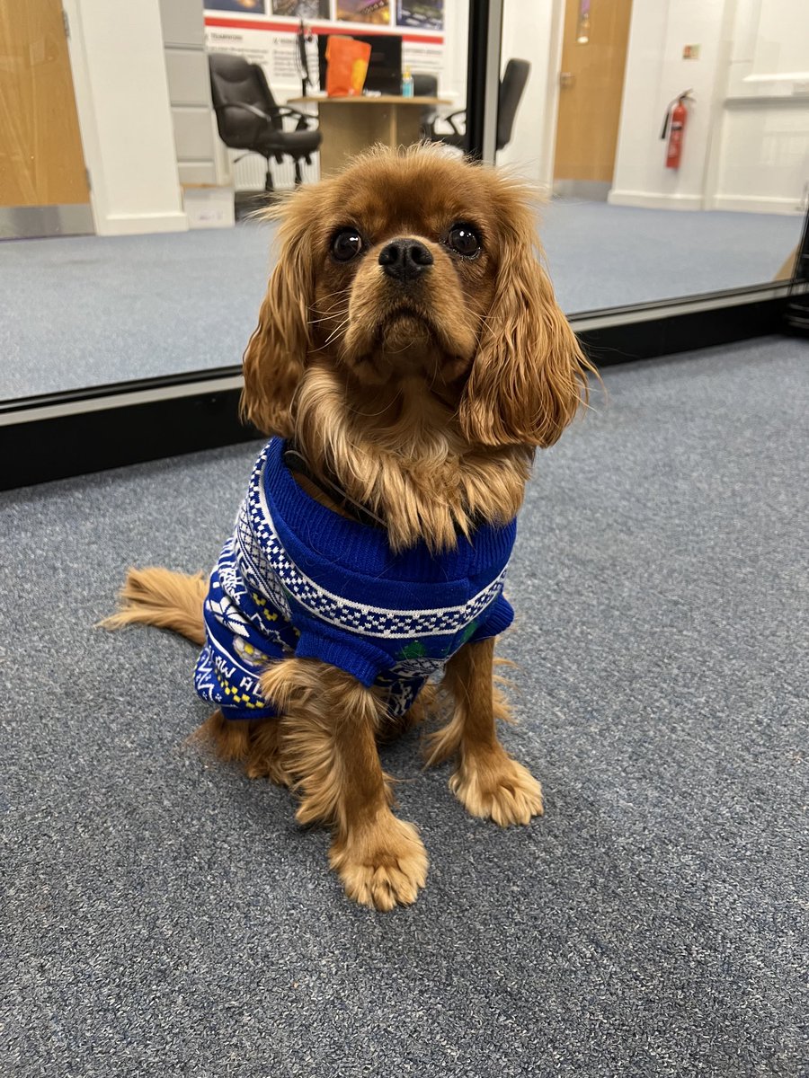 Happy Xmas to all our staff and clients! Love from #hudson ❤️❤️