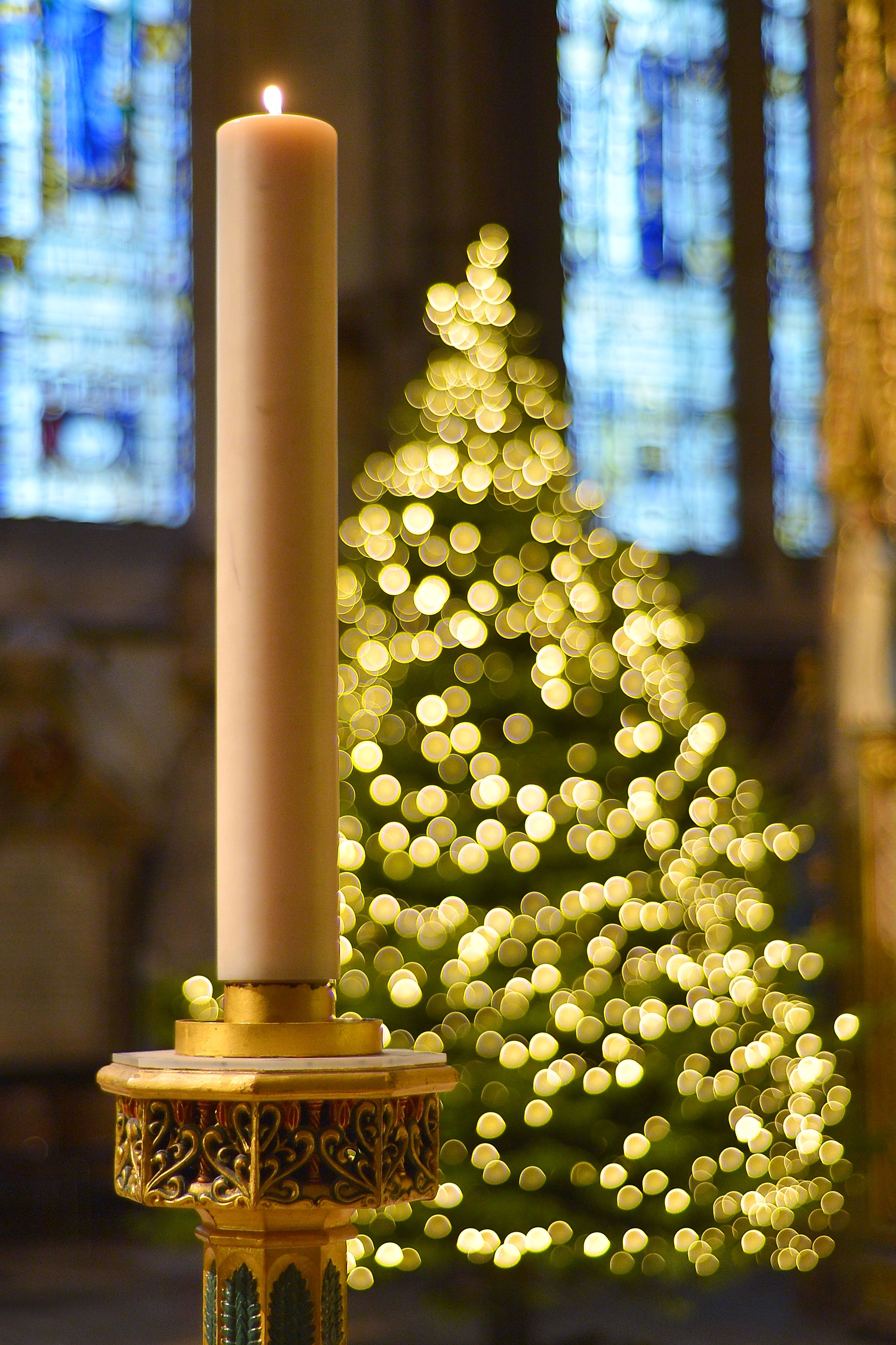 ashley-winterwonder125-twitter