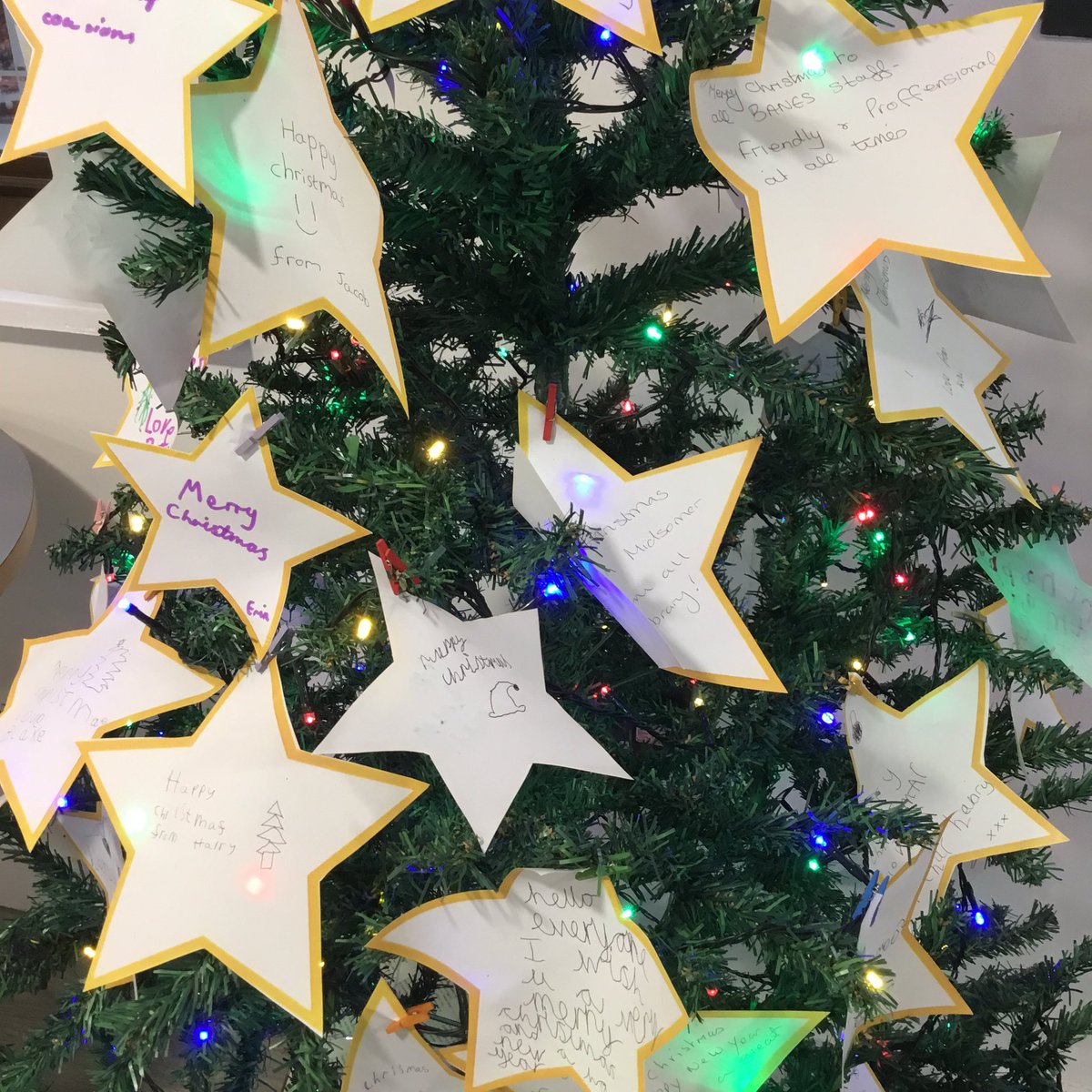 bnes_libraries's tweet photo. Weβve loved reading all of the messages on our festive tidings tree in #MidsomerNortonLibrary #BNESLibraries #LibrariesLive ππ§βππ https://t.co/h6RkuGfxE4