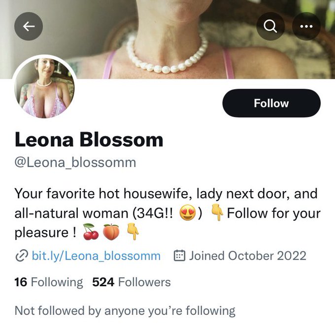 Another day, another scammer. Please report if u have a minute&hellip; https://t.co/fsCyq7JfIP