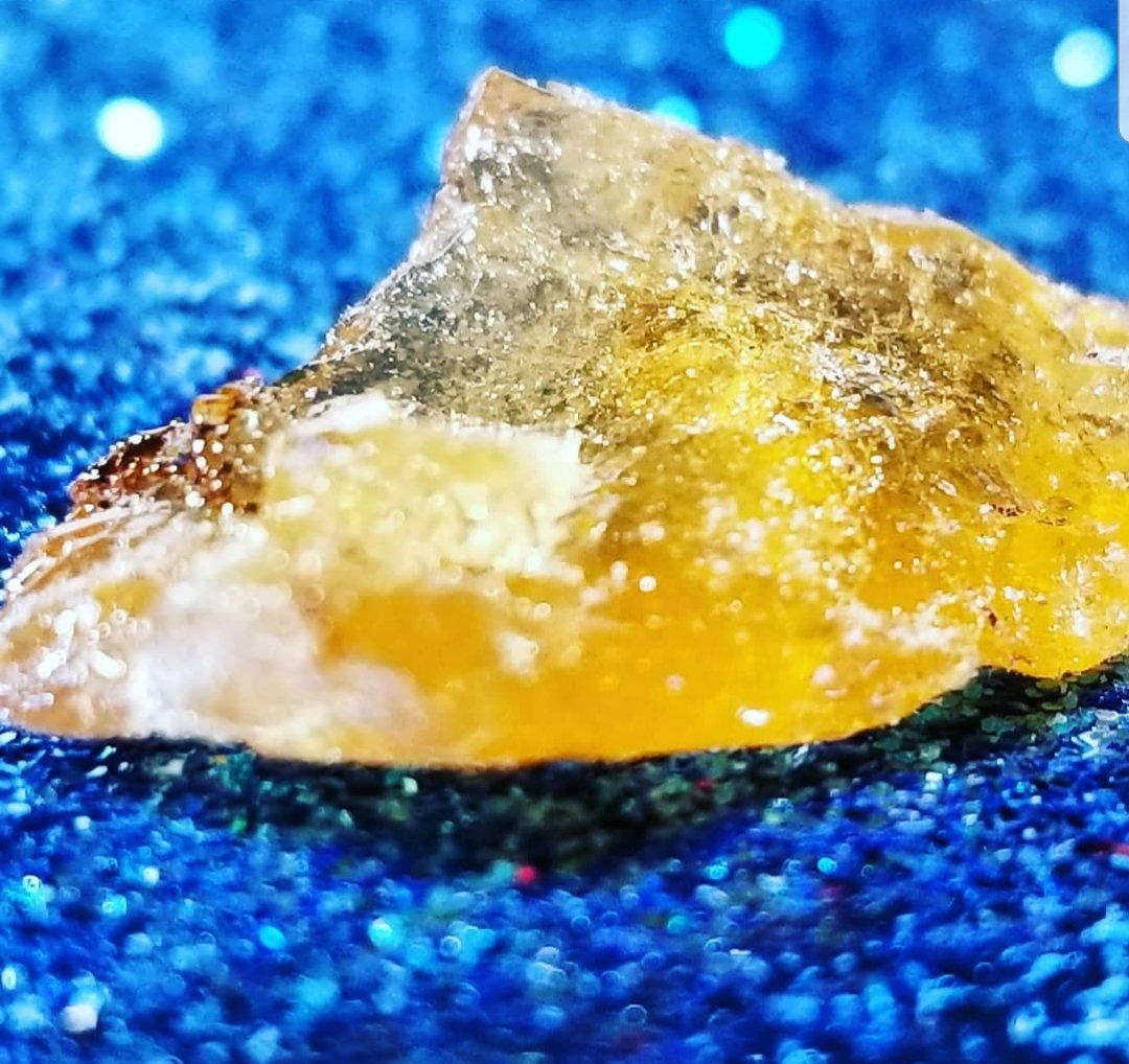 The Florida Weed tweet media