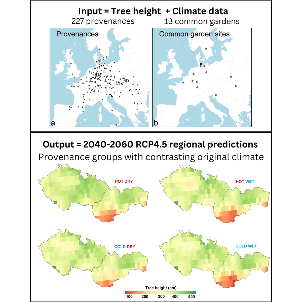 Peter Petrík (@peterpetrk8) on Twitter photo 🎁🎄 Great timing for our last publication of 2022. Paper presents the projected height growth of European beech seedlings of different origin in Czech Republic and Slovakia. 🌳 Collaboration via <a href="/PCaforr/">PEN-CAFoRR</a> COST action. 🇪🇺
doi.org/10.3390/f14010… 🎁🎄 Great timing for our last publication of 2022. Paper presents the projected height growth of European beech seedlings of different origin in Czech Republic and Slovakia. 🌳 Collaboration via <a href="/PCaforr/">PEN-CAFoRR</a> COST action. 🇪🇺
doi.org/10.3390/f14010…