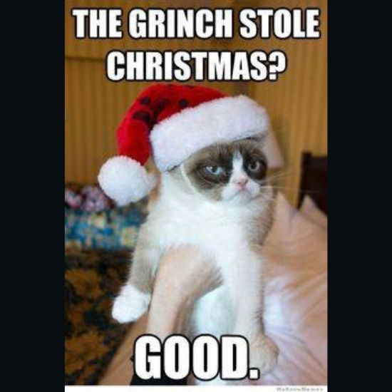 Anyone else have a cat with this attitude?

#christmas #christmasmemes #catmemes #catgram #christmashat #holidays #christmasseason #memesdaily #realestatehumor #realtorhumor #columbusohio #cbus #columbusohiorealtors #realtors #realestate #TheColumbusTeam #KW #WeKnowColumbus