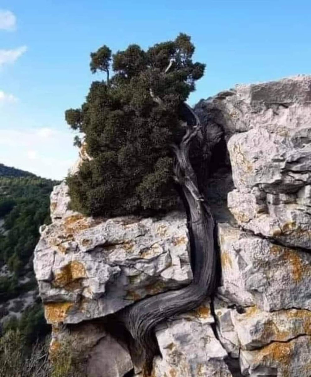 WHEN THERE IS A WILL THERE IS A WAY.