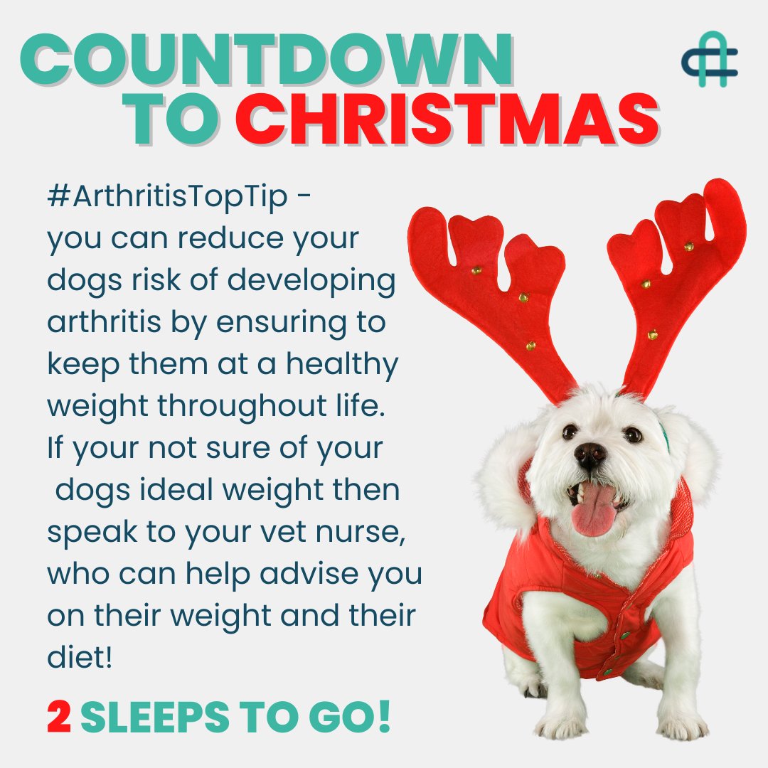 COUNTDOWN TO CHRISTMAS!!

2 sleeps to go!

#YourDogMoreYears #seniordogsuk #dogloversuk #caninearthritis #CAMDogs #dogswitharthritis #veterinarylife #ArthritisTopTip #dogtrainer