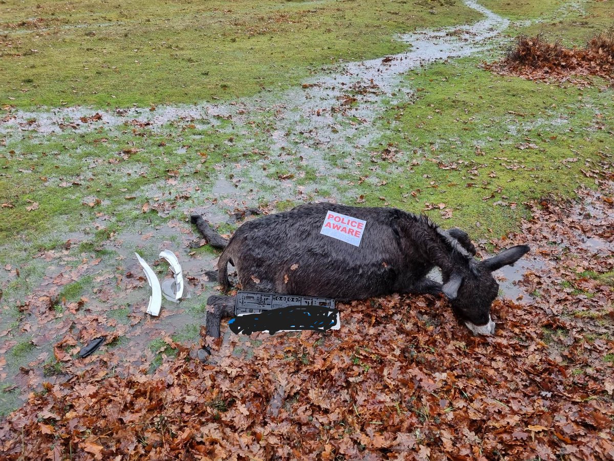 NFRoadsAwareness tweet media