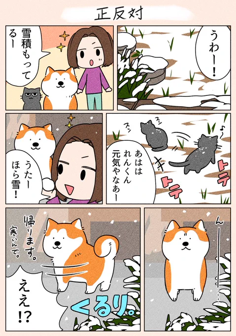 「正反対」
猫は庭駆け回り、犬はこたつで丸くなるって感じでした😅

#漫画が読めるハッシュタグ
#日常
#犬猫 