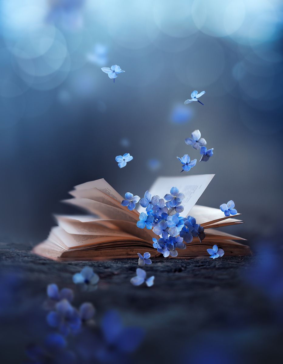 prewett_travis's tweet photo. Fantasy is an area where it is possible to talk about right and wrong, good and evil, with a straight face. In mainstream fiction and even in a good deal of mystery, these things are presented as simply two sides of the same coin.
#thelawnmower
#Eddiesgoat https://t.co/Ou3QWrEkro
