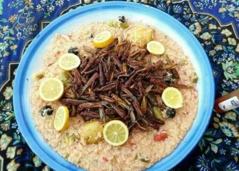 gorgeous4ew's tweet photo. د. صلاح الهاجري:

هناك 200 فصيلة من الحشرات صالحة للأكل كغذاء المستقبل في بيئتنا المحلية. https://t.co/9ujDkX7f7h
