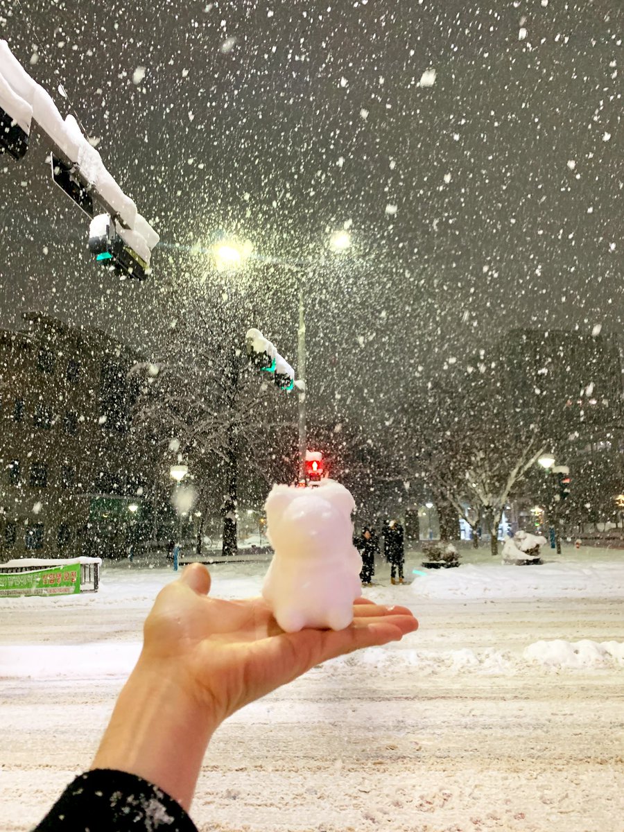 lingonerd's tweet image. #눈