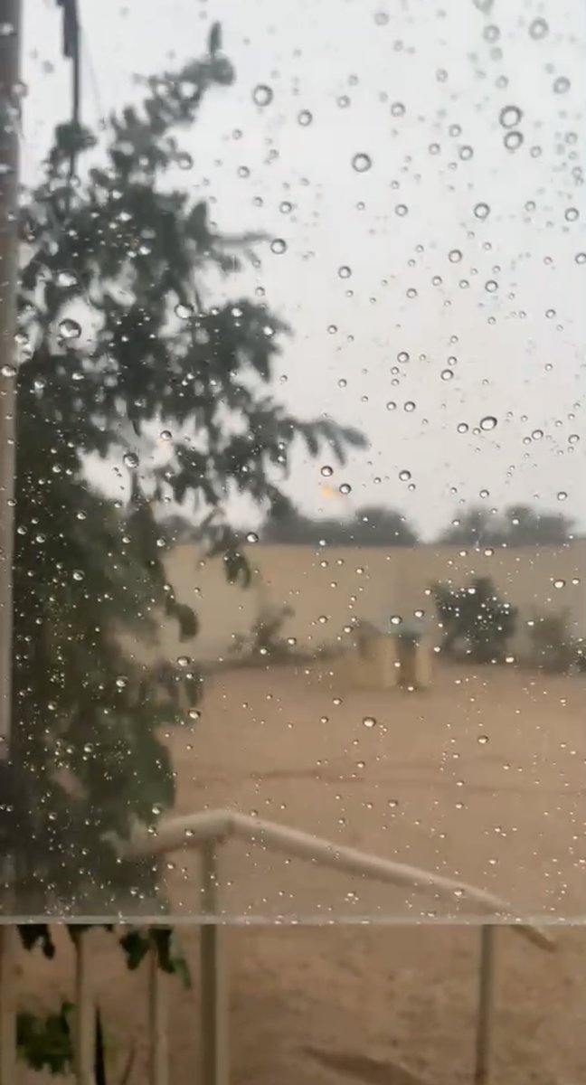 مساء الأجواء الحلوة 😍🤍 #أمطار  #القصيم #الرس