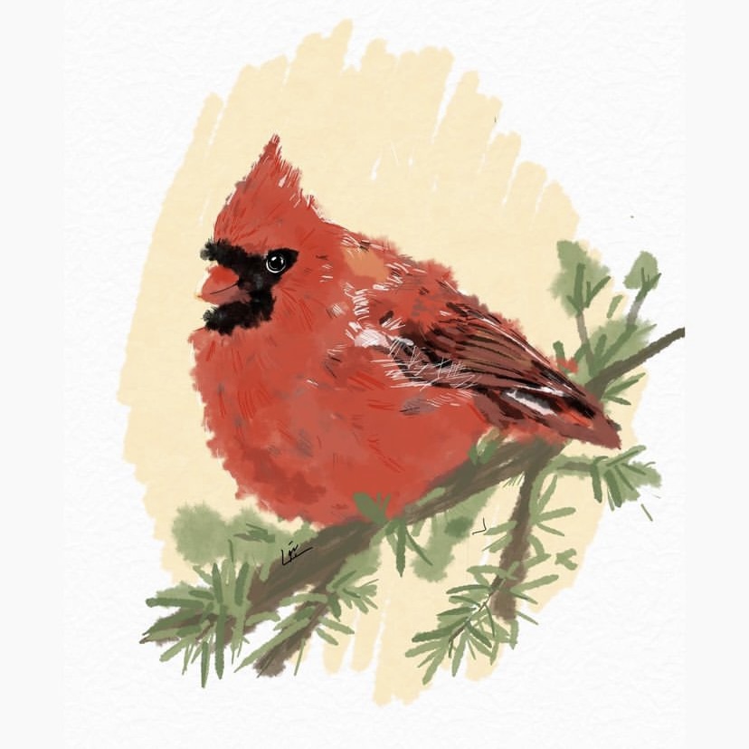 ConceptsApp's tweet photo. Improve your #drawing skills by #drawingfromreference. Try out our #watercolor brushes, now available on all platforms.
#digitalarts courtesy of @ batoulshhady
#vectorart #digitalpainting #digitalwatercolor #conceptsapp https://t.co/AHw1YeMuyr