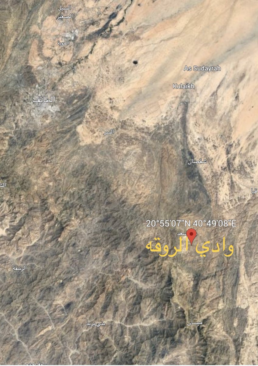 شبابة tweet media