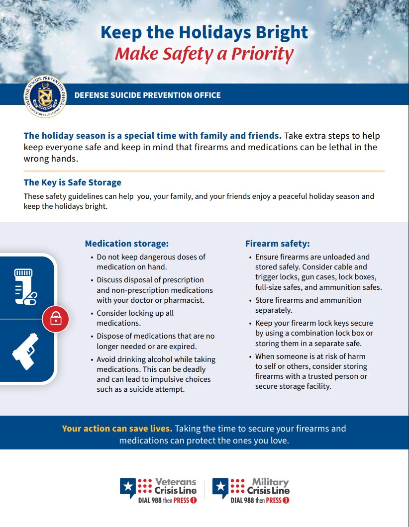 These medication and firearm safety guidelines can help you, your family, and your friends enjoy a peaceful holiday season and keep the holidays bright.

dspo.mil/Portals/113/DS…