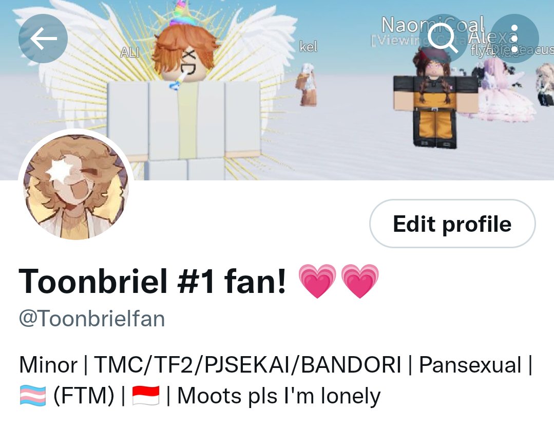 Toonbrielfan's tweet photo. Take a look of my edgy emo widgets n wallpaper, then take a goofy ahh look at my happy non-emo Twitter account. ☠️ https://t.co/VOJbir58wv