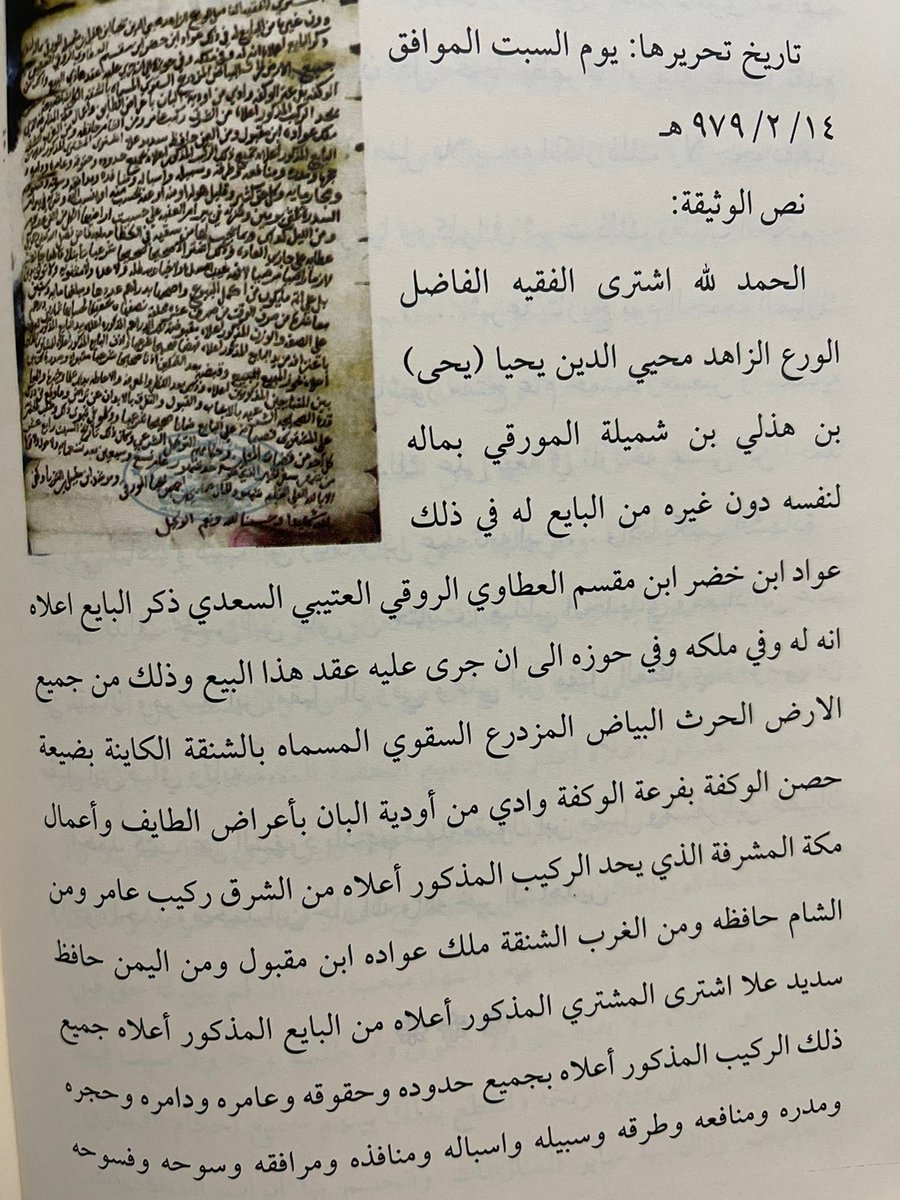 شبابة tweet media