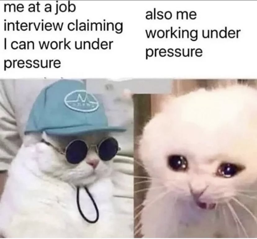Pluo Jobs tweet media