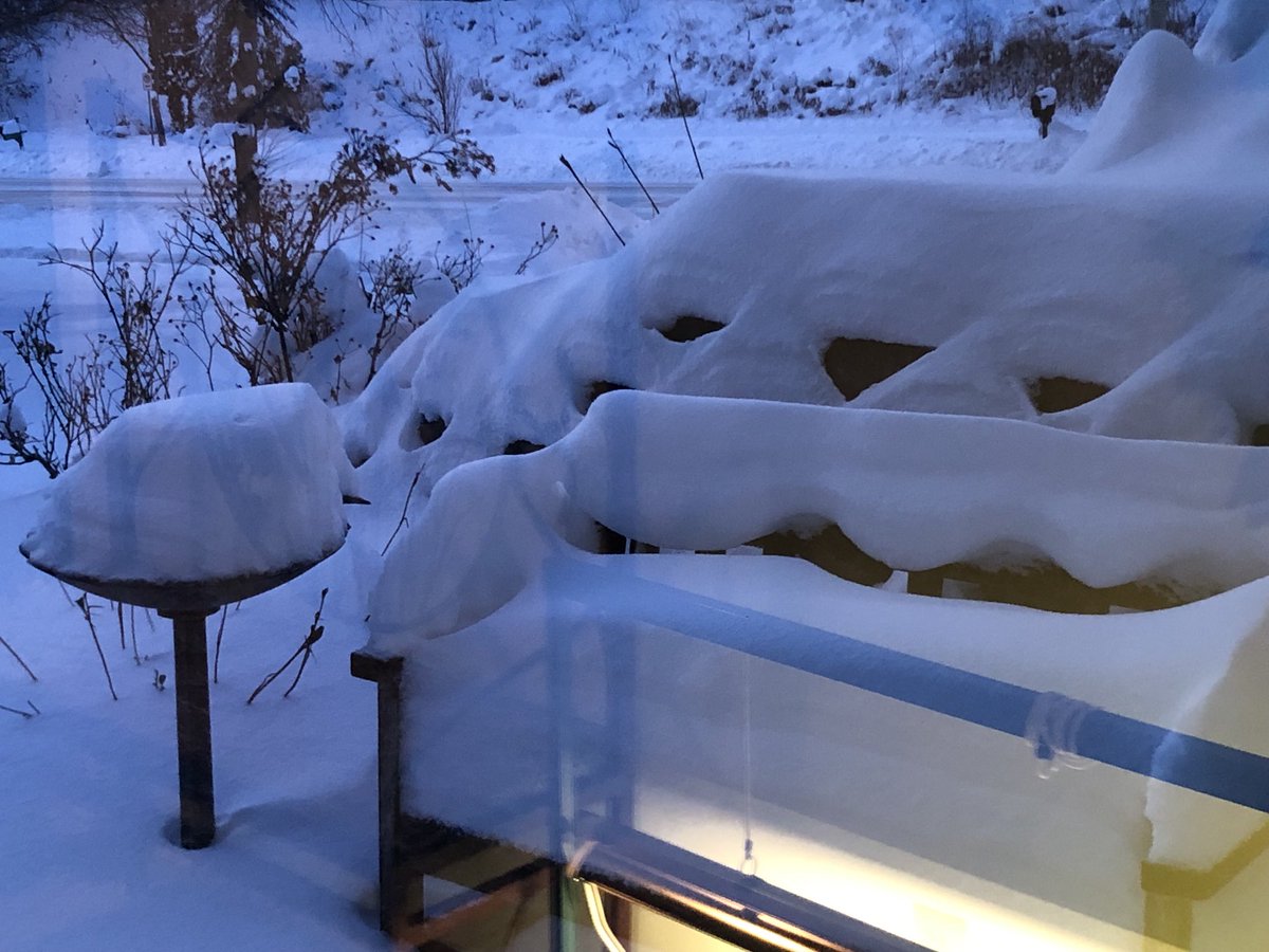sigs12k's tweet photo. Blizzard warning, -33 wind chill, fantastic shapes in the snow. Cozy and warm indoors. Not stepping outside for the photo. Note the reflection of the grow light. Green and growing plants are a promise of spring. https://t.co/PDChrYnrSc
