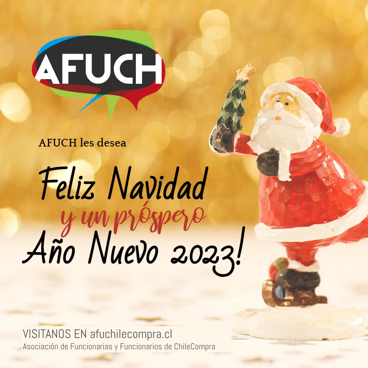Un saludo fraterno de AFUCH 
¡Feliz Navidad y Próspero 2023!
afuchilecompra.cl
