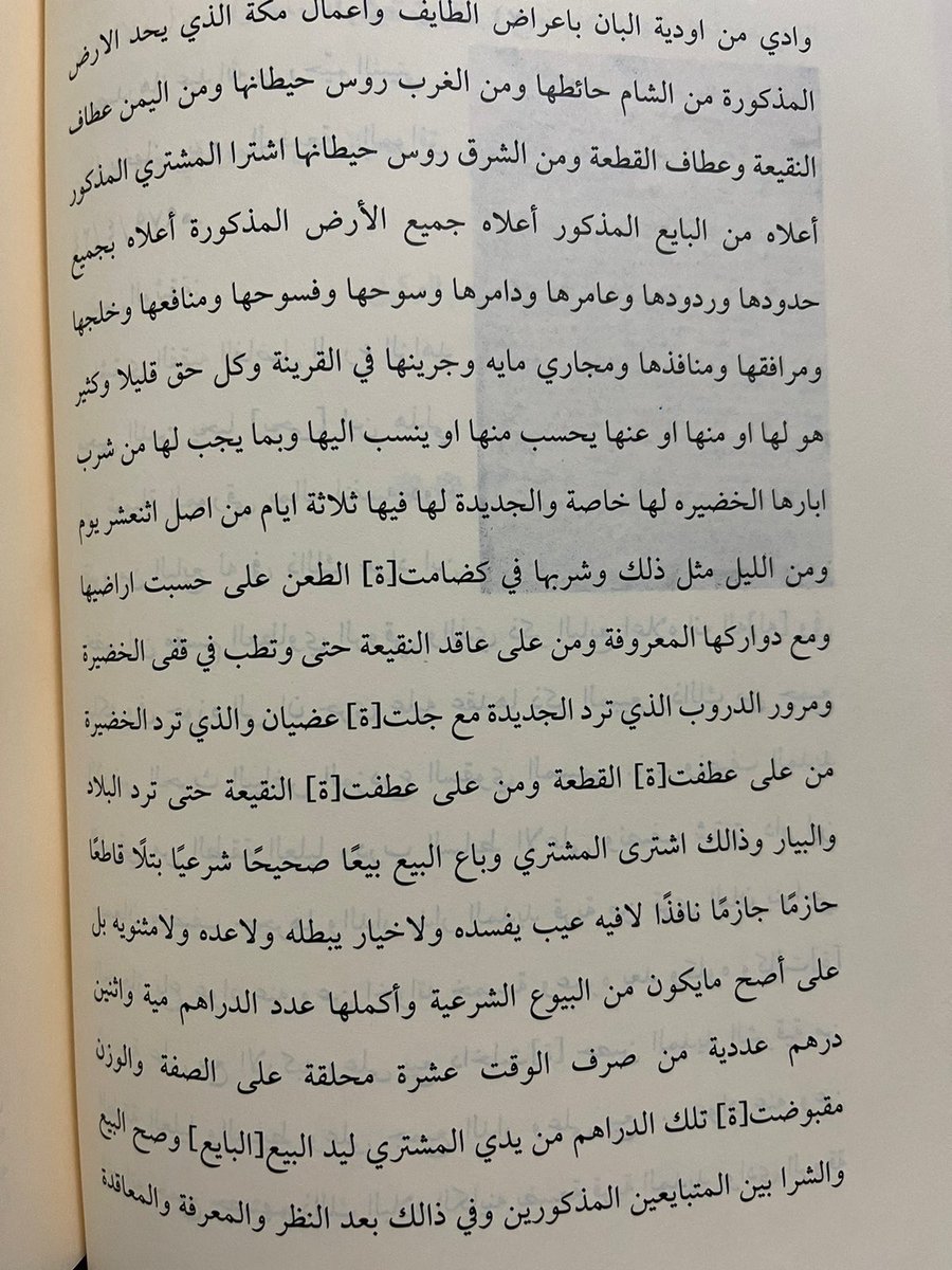 شبابة tweet media
