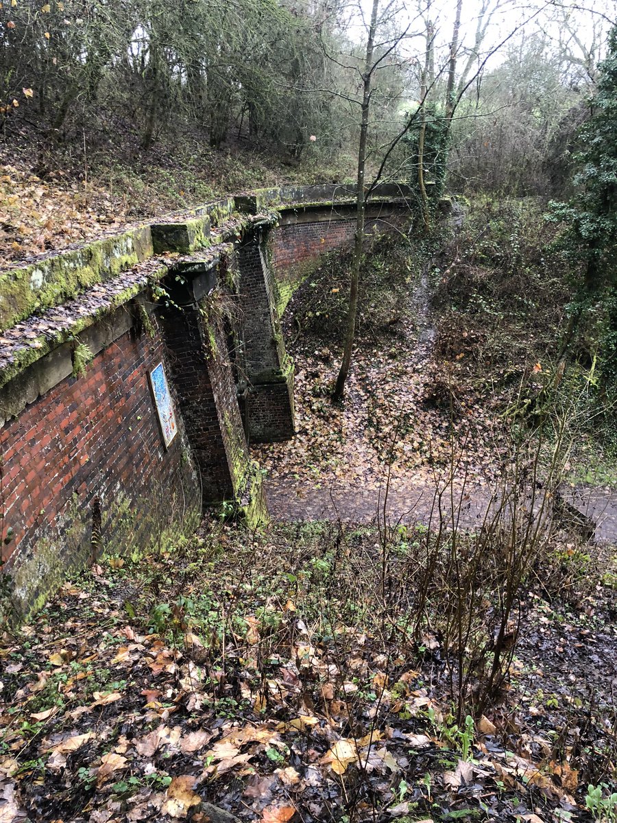 Flying Professor tweet media