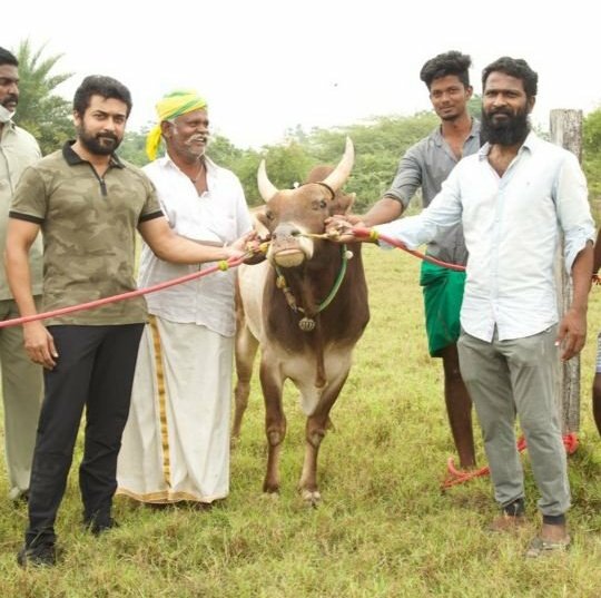 kayaldevaraj's tweet image. #VaadiVaasal
#VaadiVaasalTitleLook

@VetriMaaran @theVcreations @gvprakash @VelrajR @jacki_art #CSChellappa @kabilanchelliah 
#Suriya @Suriya_offl