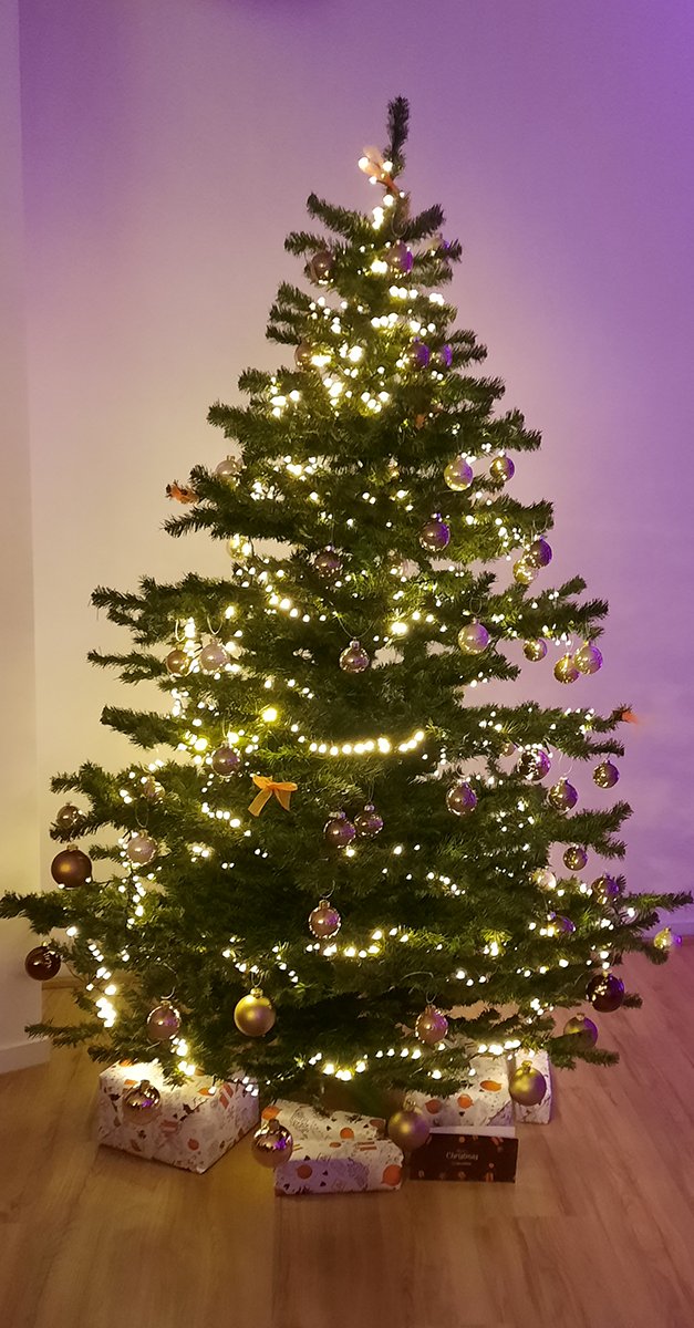 4ALLPORTAL tweet media