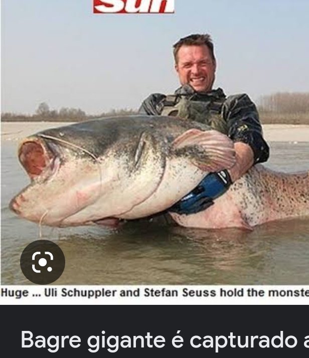 FURIA RaFTwTᶜᵉᶜ tweet media