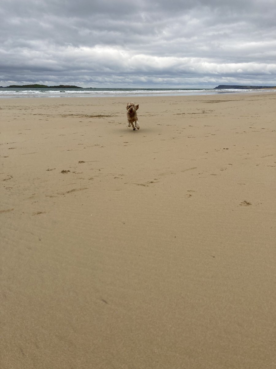 Christmas Eve Eve 🥰