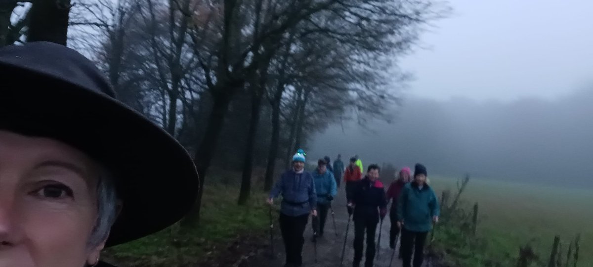 NordicWSuffolk's tweet photo. Our usual Nordic Walk at @IckworthNT turned from fog to heavy rain but everybody kept going, even had Christmas lights with us #britishnordicwalking #inwa #wearenordicwalking #nordicwalking #walkingforhealth https://t.co/EuOHBKTaxw