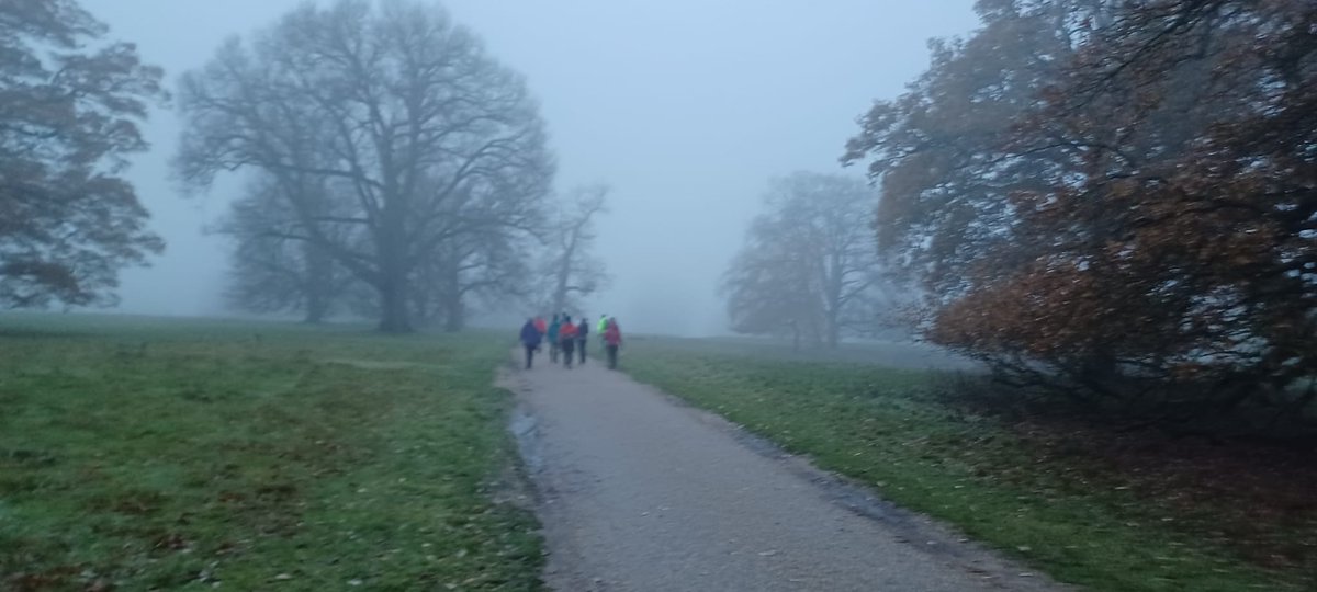 Our usual Nordic Walk at @IckworthNT turned from fog to heavy rain but everybody kept going, even had Christmas lights with us #britishnordicwalking #inwa #wearenordicwalking #nordicwalking #walkingforhealth