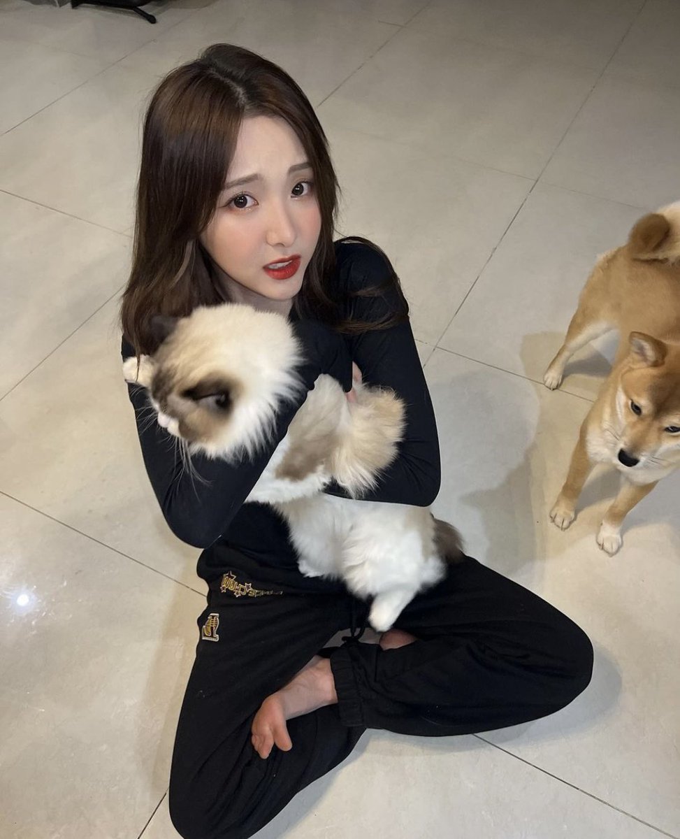 Popply17's tweet photo. หลานชาย อุงอุง เนียเนีย ไม่เห็นเน่ถ่ายรูปลงด้วยนานแล้ว คิดถึงมากมาย #เนเน่ https://t.co/KZ1dIkbJsj