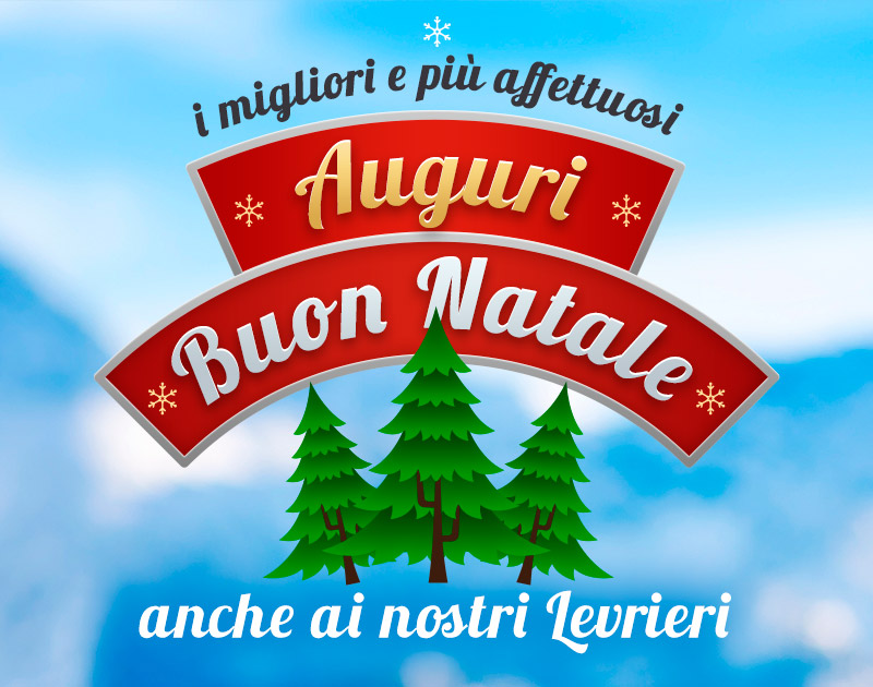 SOS Levrieri tweet media