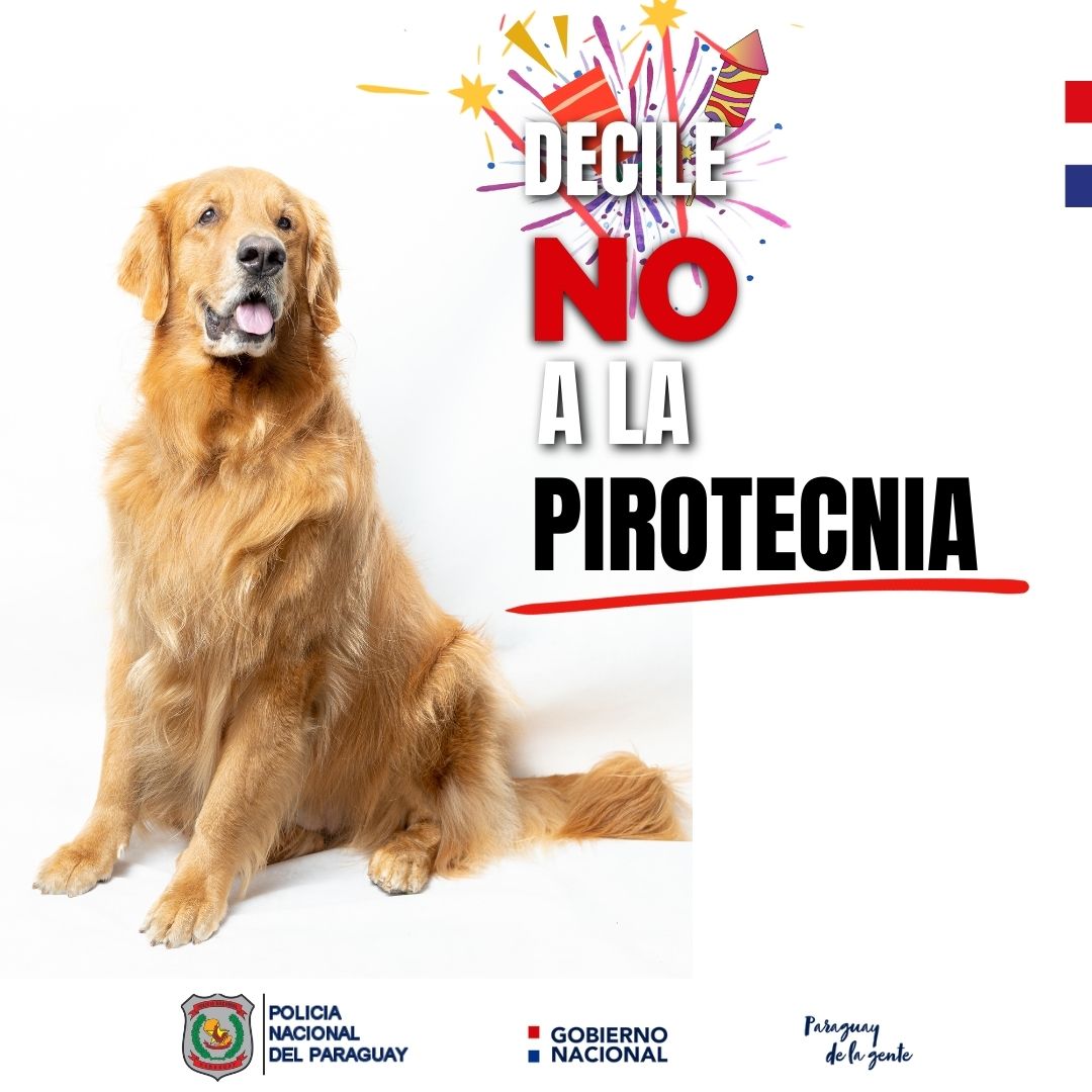 policia_py's tweet photo. 🐶🎄 𝗡𝗼𝘀 𝗰𝘂𝗶𝗱𝗮𝗺𝗼𝘀 𝗻𝗼𝘀𝗼𝘁𝗿𝗼𝘀 𝘆 𝘁𝗮𝗺𝗯𝗶𝗲́𝗻 𝗮 𝗲𝗹𝗹𝗼𝘀
@minteriorpy https://t.co/hn13DcUiWq
