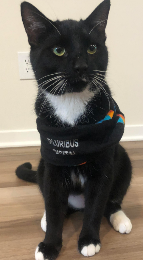 PluribusD's tweet photo. Happy Holidays and warm wishes for 2023 to all, from your friends (and their furry counterparts) at Pluribus Digital! https://t.co/LU0nrBLutt