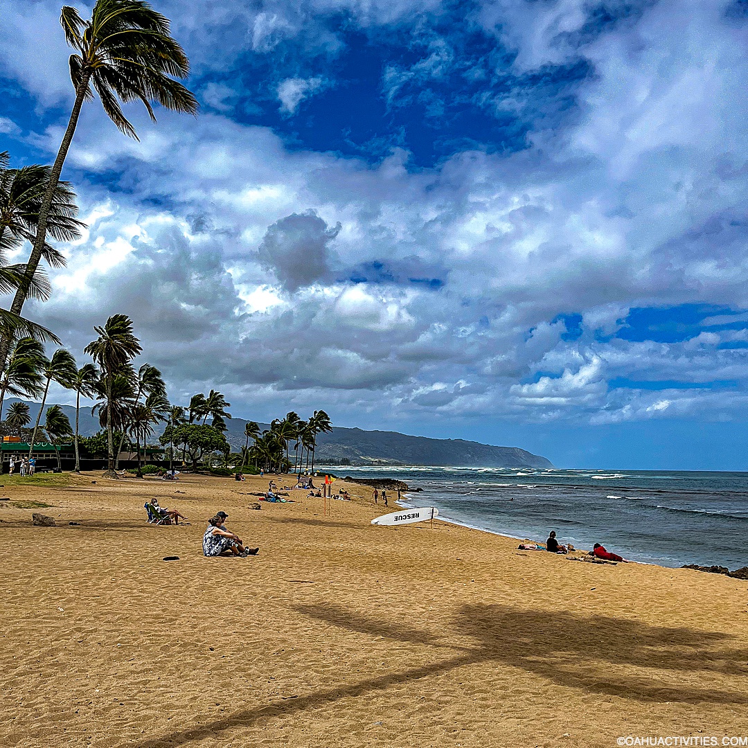 oahu tweet picture
