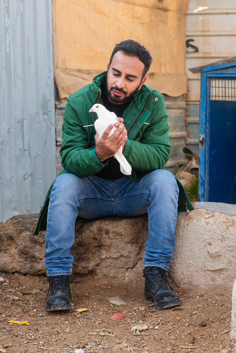 إلى روح والدتي الغالية❤️
إلى أرواح شهداء الإنسانية💕
إلى كل أرض دمرتها الحروب🌱

إلى المساجد والكنائس ودور العبادة
إلى سماء وفضاء واسع 🌏
انطلقي يا حمامة وارسلي المحبة والسلام🕊