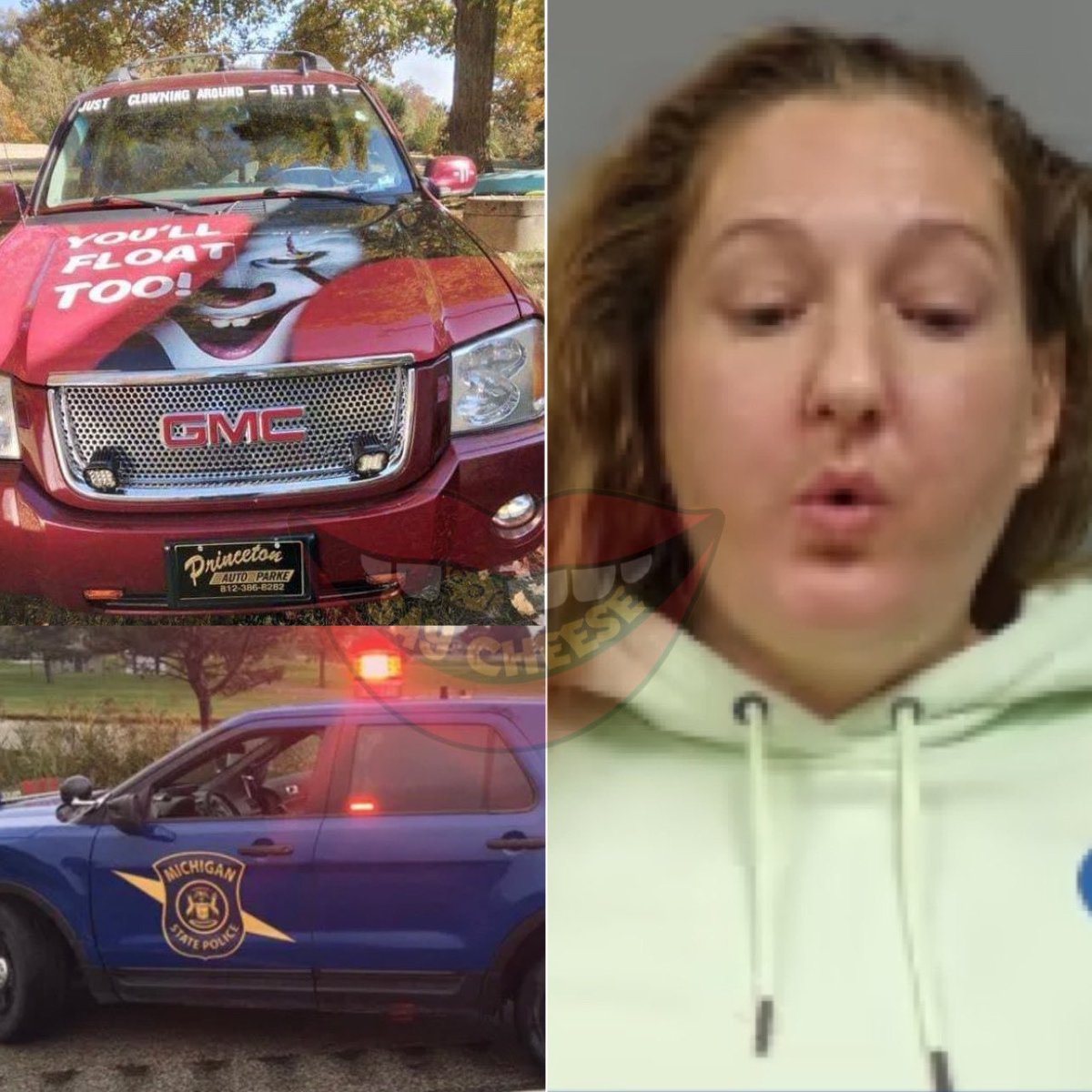 Say Cheese 👄🧀 On Twitter Michigan Woman In Stolen Car Arrested After Purposely Break Checking