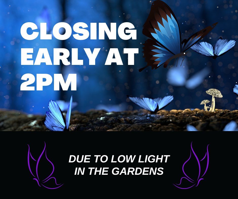 Butterfly Gardens tweet media