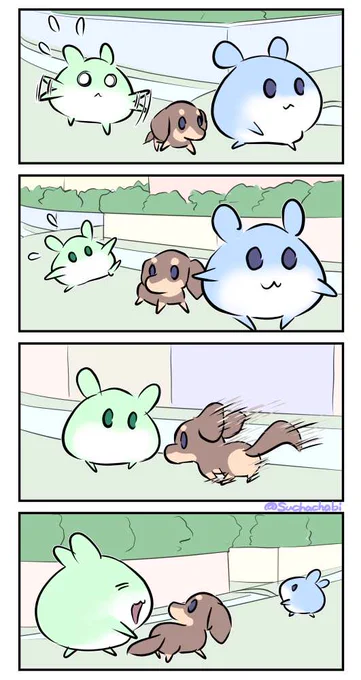 972日目 遅れたはむを気遣うわんこ 