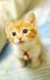 humgooble's tweet photo. @HumTummy URAGHH ,@!!!! HUJ GOBLE  WILL  N,OT BE  SILENCEDE  !!1! https://t.co/D5bOOSsUid
