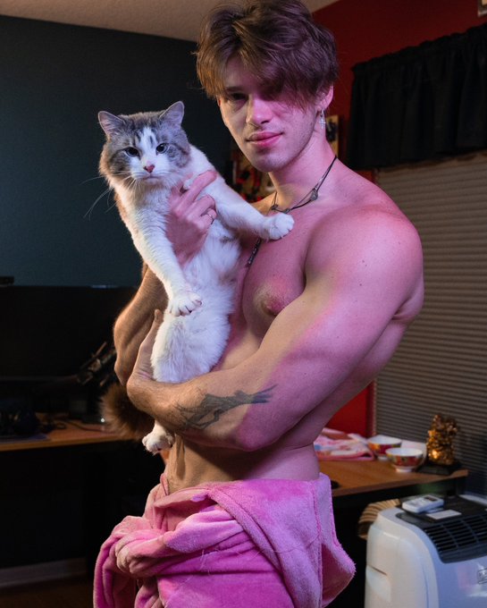 New cat named Rengar https://t.co/t1cqAfDTU1