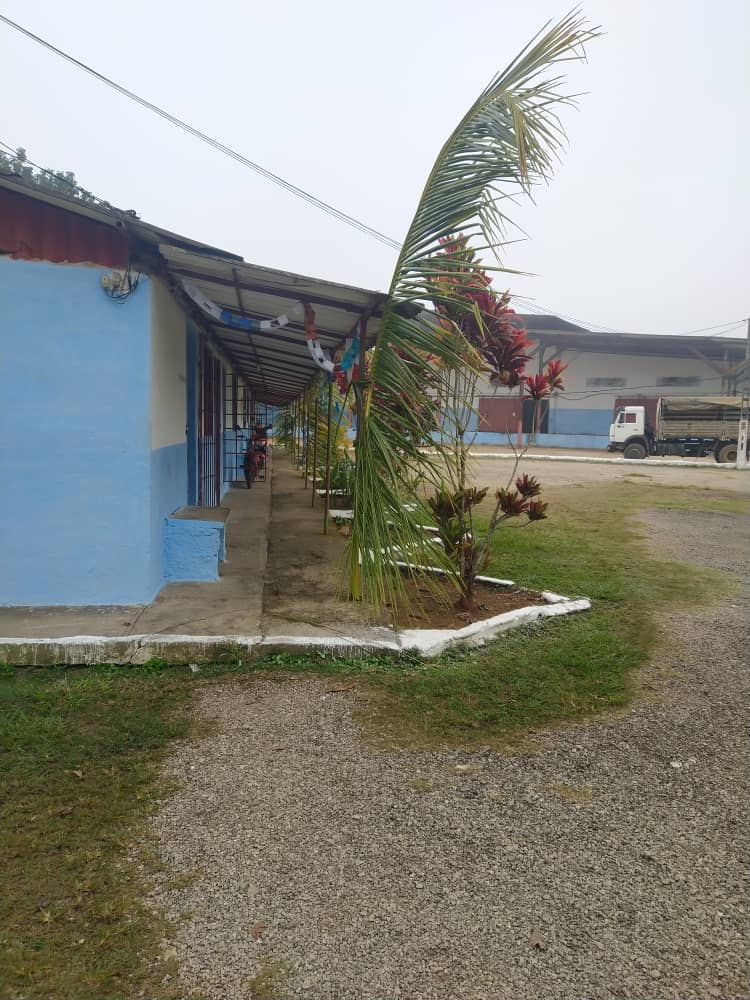 G.A. Mayorista Mayabeque tweet media