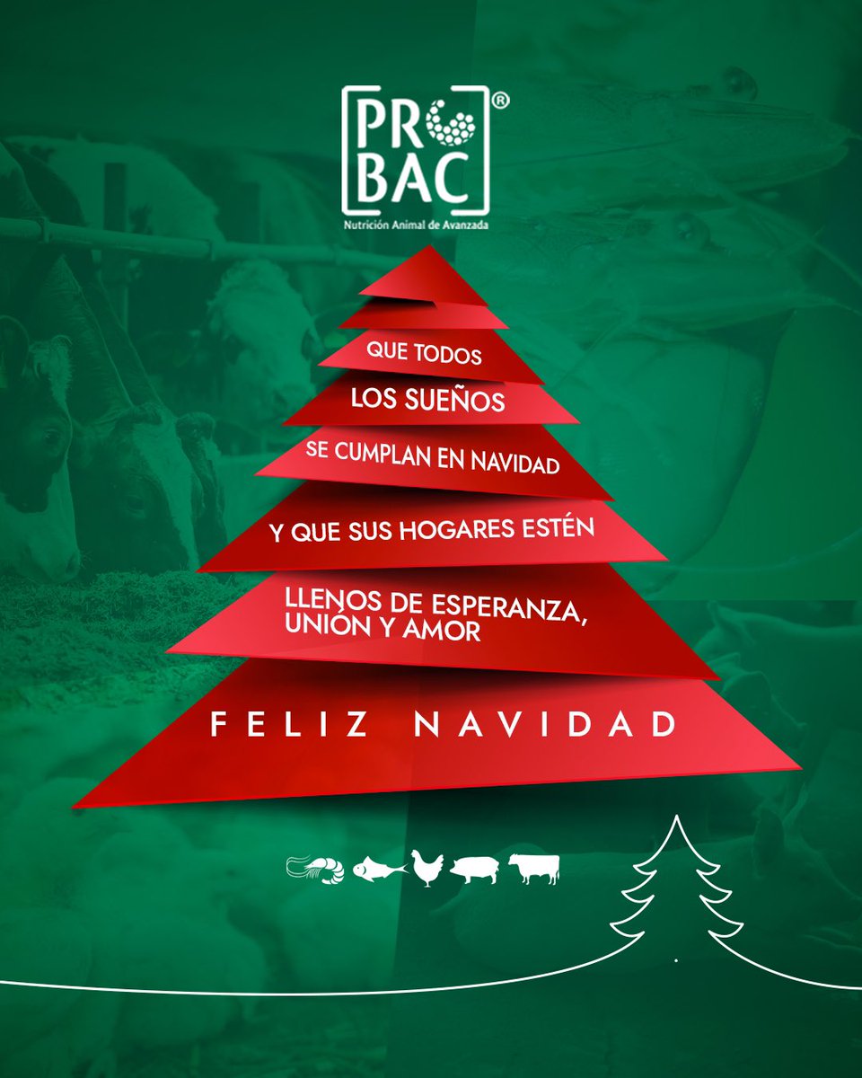 PROBACSA's tweet image. PROBAC les desea una muy Feliz Navidad a todos 🎅🏻🎄🫶🏻
——————-
PROBACSA 

#navidad #christmastree  #comunidad