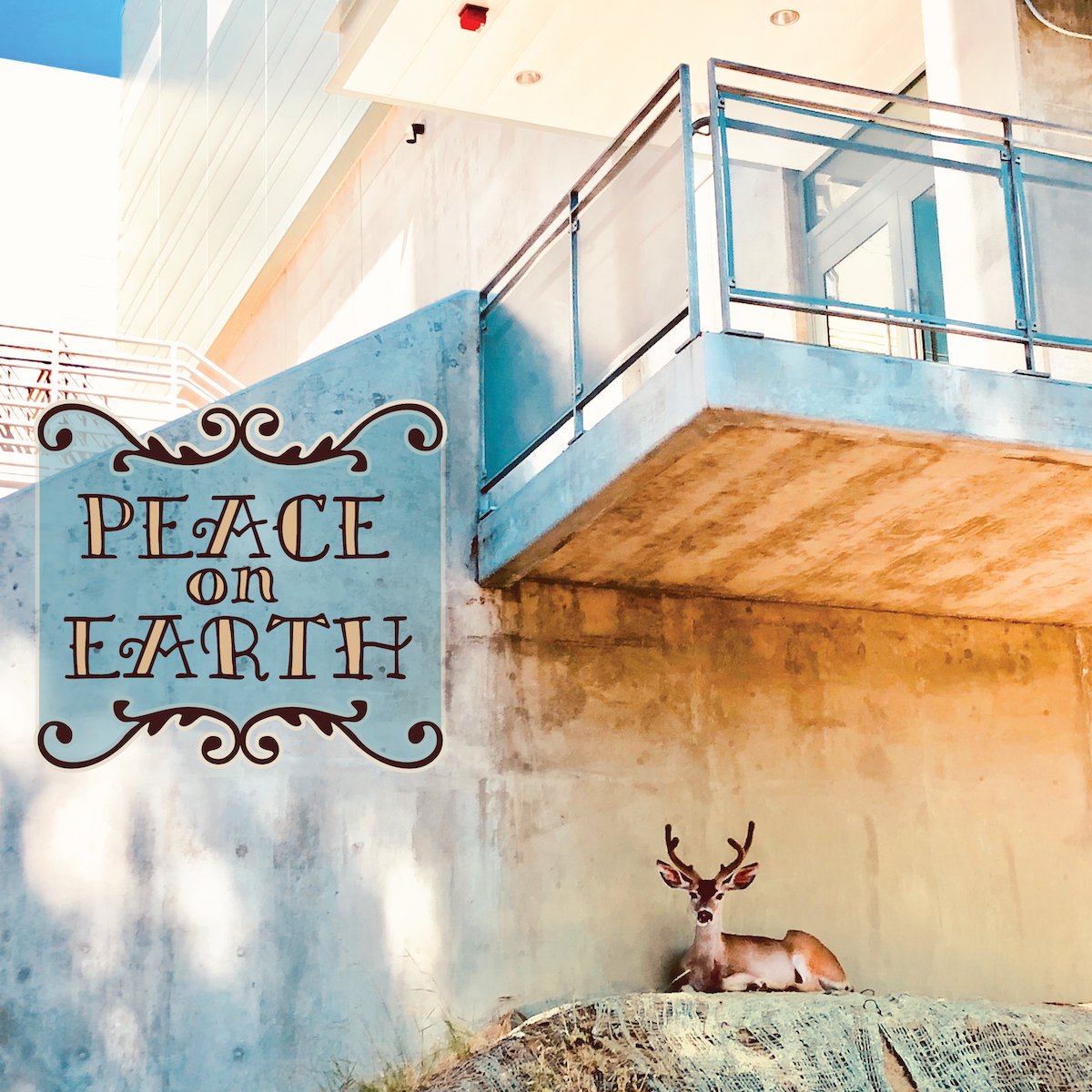 LBNLcs's tweet photo. Happy Holidays from all of us in @BerkeleyLab's Computing Sciences Area, @Energy's National Energy Research Scientific Computing Center (#NERSC), and Energy Sciences Network (#ESnet). https://t.co/pFCuTmA06G