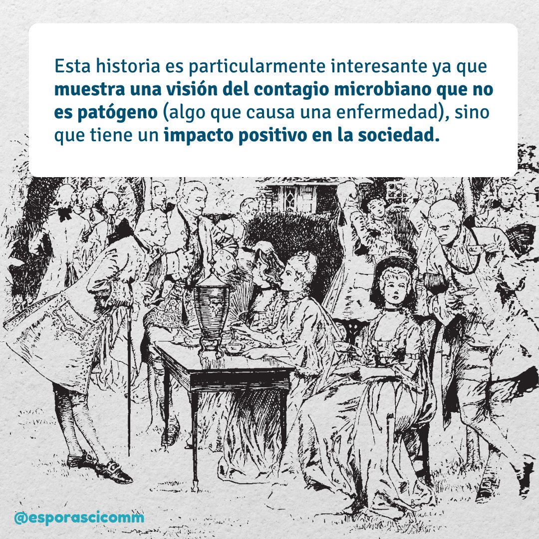 EsporasLab's tweet photo. 👉🏾Esta historia es particularmente interesante ya que muestra una visión del contagio #microbiano que no es patógeno (algo que causa una enfermedad), sino que tiene un impacto positivo en la sociedad 🦠💚 https://t.co/v45SBNljAj