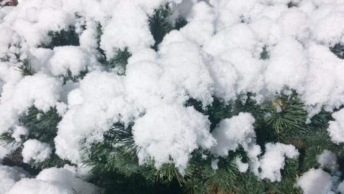 Highway 7/8 closed between Stratford and New Hamburg bit.ly/3FU8jHJ