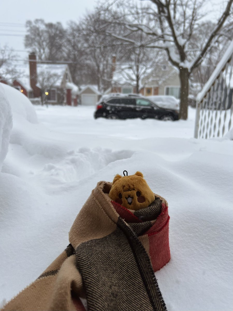 hongmoni's tweet photo. snow day with hongnugget 🫶🏻❄️ https://t.co/b68OT4rb6M