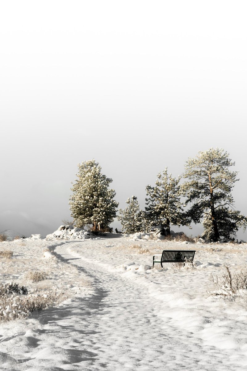unspokenvisuals's tweet photo. Winter is here ❄️
-
#viewcolorado #colorado #colorfulcolorado #co #travelcolorado #visitcolorado #coloradolife #coloradophotography #unspokenvisuals #coloradoliving #coloradogram #coloradolove #ilovecolorado #earth #west #rockymountains #outdoorsman https://t.co/oPmvoQdNOh
